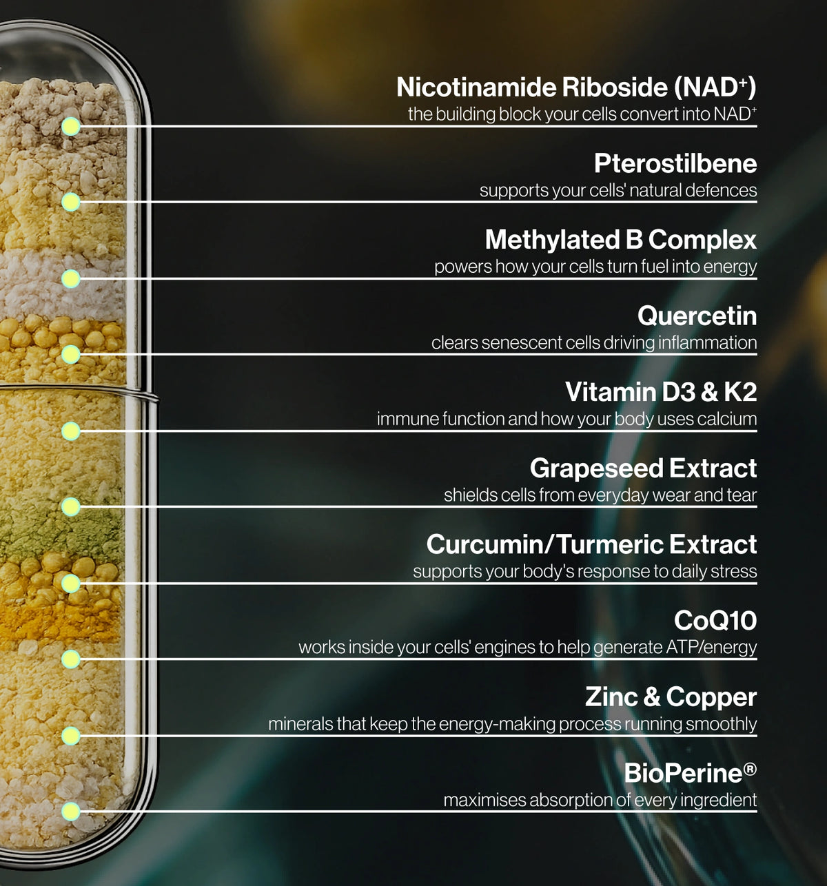 Nicotinamide Riboside (NAD+)