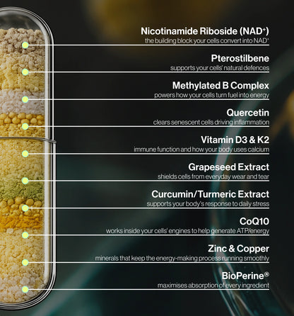 Nicotinamide Riboside (NAD+)