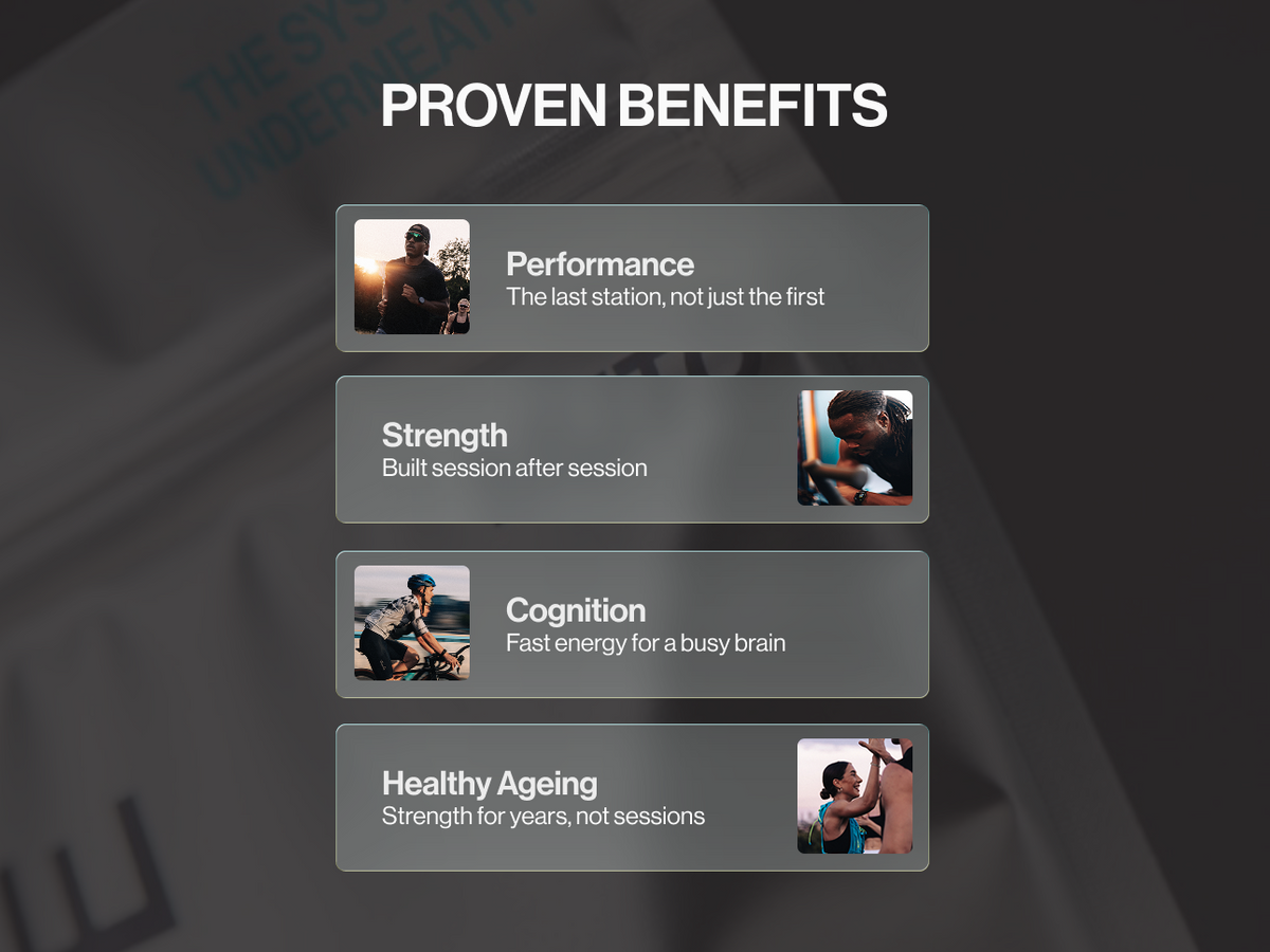 Ultrapure Micronised Creatine Monohydrate